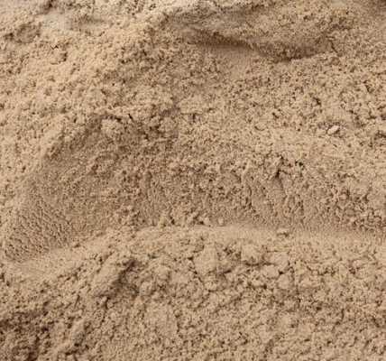 沙子的土壤（沙子土壤化材料）-图2