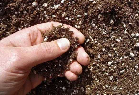 土壤硬成球（土壤硬化如何处理变软）-图2