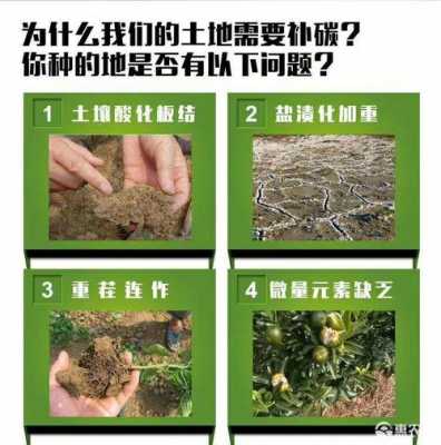改良土壤所需材料（改良土壤酸碱性的最好方法）-图3