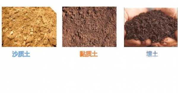 黏质土壤土（黏质土壤土沙质土哪个透气性最好）-图2