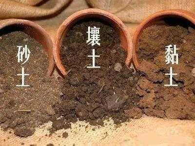 黏质土壤土（黏质土壤土沙质土哪个透气性最好）