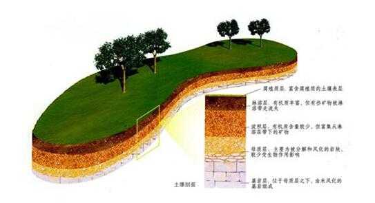 土壤层段（土壤发生层）