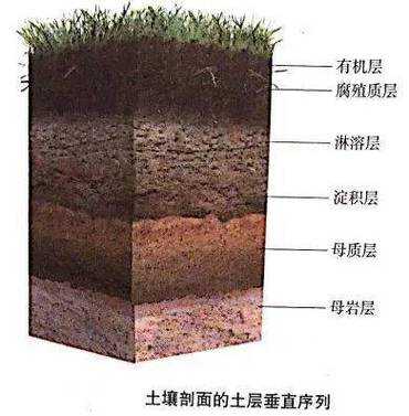 土壤层段（土壤发生层）-图3
