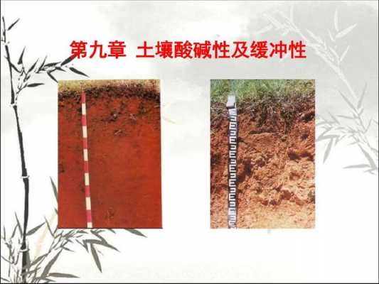 什么叫酸性土壤（什么叫酸性土壤和碱性土壤的区别）