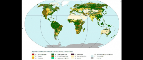 世界土壤分布图（世界土壤分布图高清）-图1