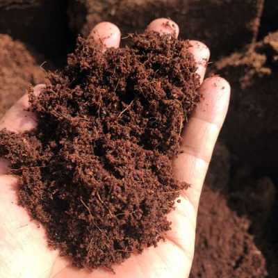 土壤基质作用（土壤基质的作用）-图3