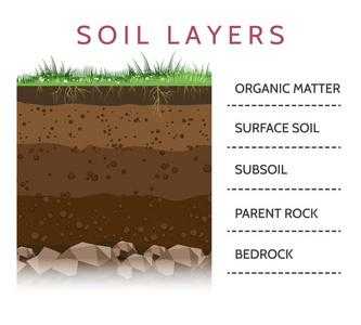 土壤深度层次（土壤层深薄是什么意思）-图3