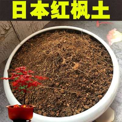 日本红枫土壤（日本红枫土壤怎么配制）-图3