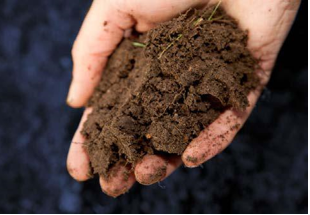 高温发酵土壤（高温处理土壤）