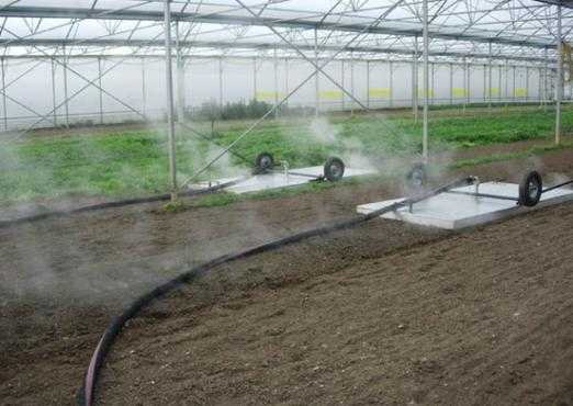 高温发酵土壤（高温处理土壤）-图2