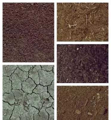 台湾榕土壤（台湾的土壤是什么颜色）