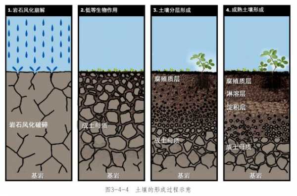 我对着土壤（对着土壤的我争辩是什么歌）-图2