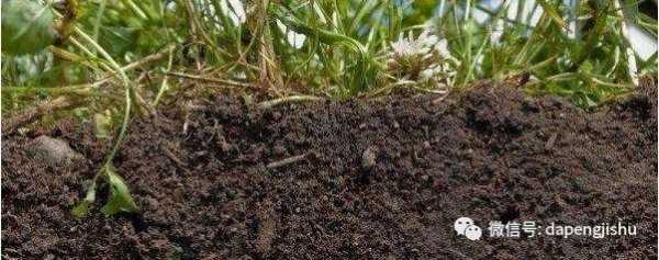 土壤重茬（土壤重茬板结怎么处理）