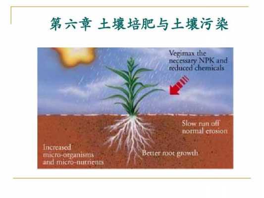 土壤施药法（给土壤施肥的作用）-图3