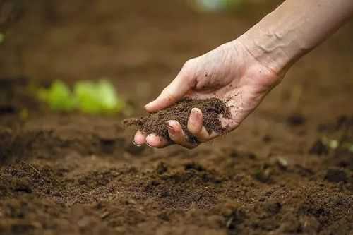 土壤施药法（给土壤施肥的作用）