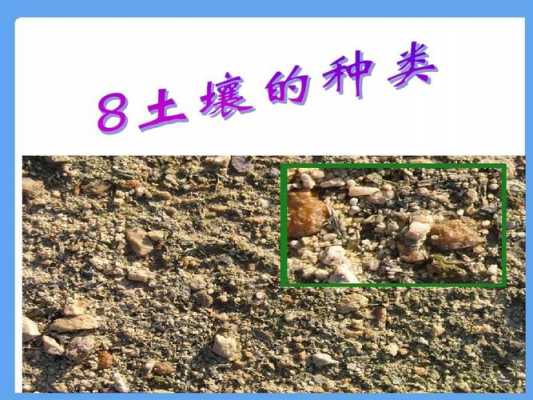 海城土壤类型的简单介绍