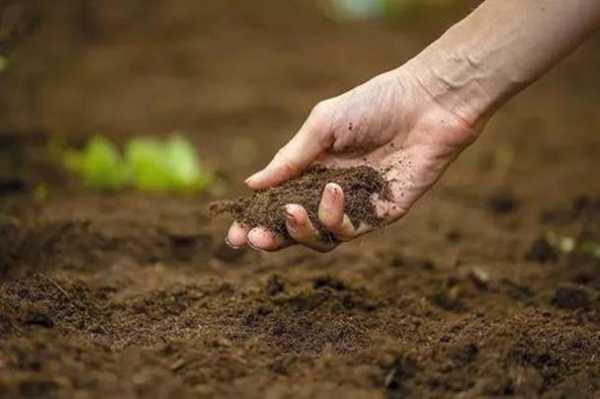 扶持土壤（国家对土壤实行什么制度）