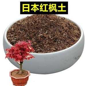 红枫土壤（红枫土壤是酸还是碱）-图2