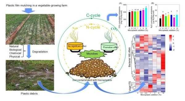 微塑料土壤（微塑料土壤团聚体微生物的影响）-图2