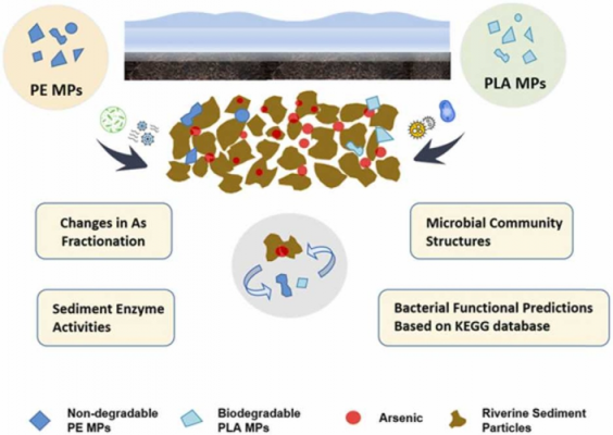 微塑料土壤（微塑料土壤团聚体微生物的影响）-图3