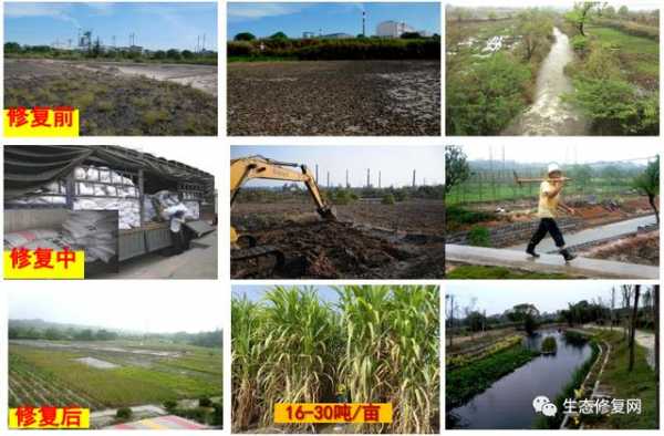 土壤污染修复案例（土壤污染修复案例）