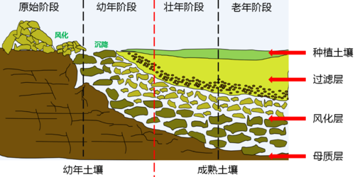 土壤的行成（土壤的形成过程）
