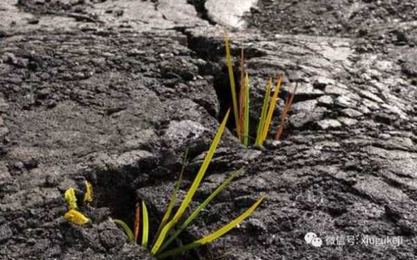 土壤粘重成因（土壤黏重对农业的影响）