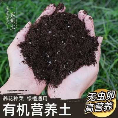 天然土壤增肥（花盆土壤增肥方法有哪些）-图3