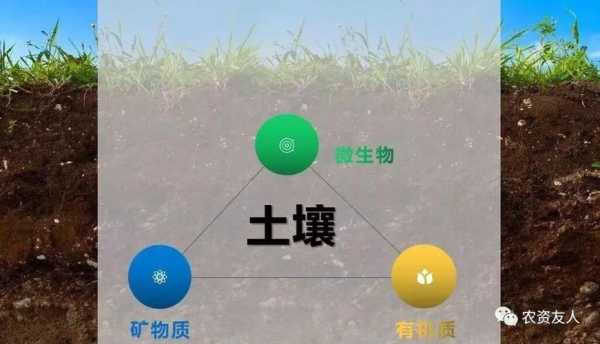 土壤中的大量元素（土壤中大量元素的作用）-图3