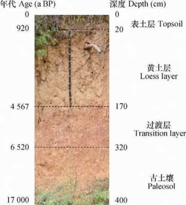 黄土与古土壤区别（黄土和古土壤互层现象）-图2