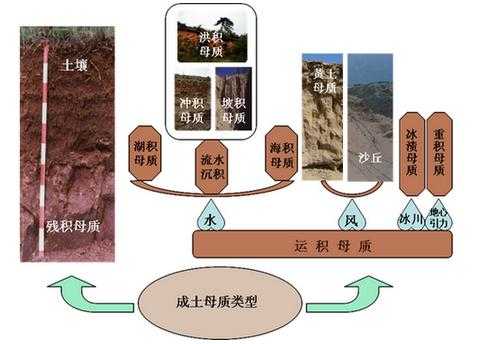 土壤的成土过程（土壤的成土过程说明）-图3
