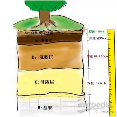 土壤分层性质（土壤分层从上到下可分为什么）-图3