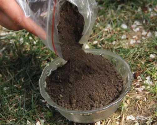 土壤粗磨样（土壤粗磨样品可直接用于）-图2