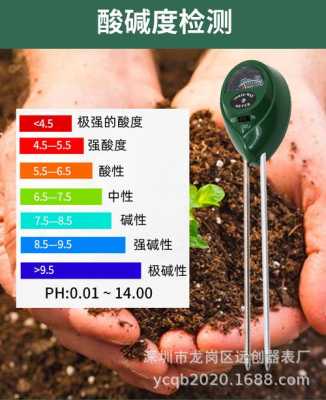 土壤的ph值（如何测土壤的ph值）