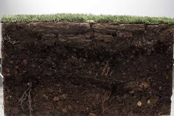 土壤加重（土壤浓重）-图1