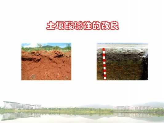 南京的土壤特点（南京的土壤是酸性还是碱性）-图1