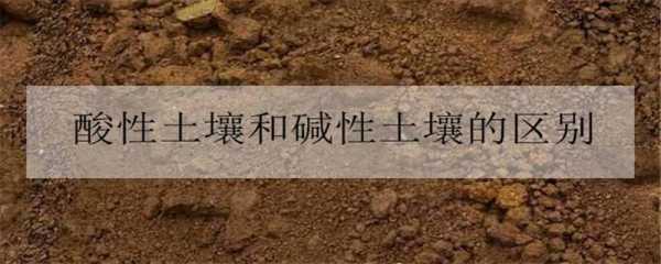 南京的土壤特点（南京的土壤是酸性还是碱性）-图3