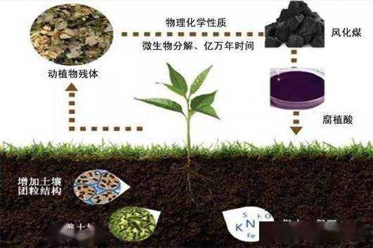 非活性土壤（土壤活性物质）