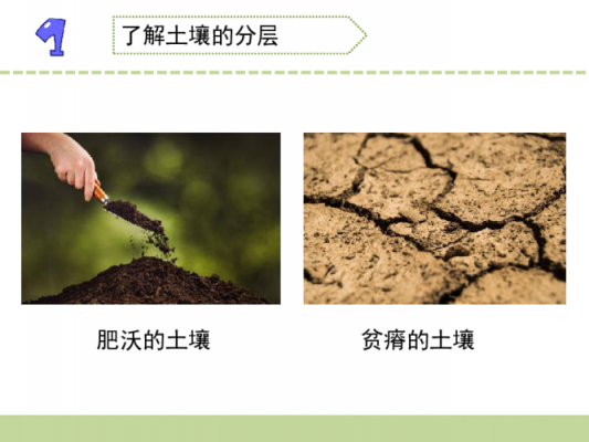 土地肥沃还是土壤肥沃的简单介绍-图1