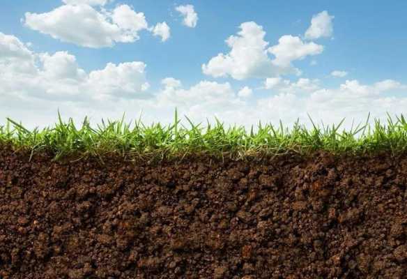 土壤肥力高低（土壤肥力高低取决于什么）