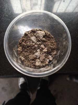 用土壤做实验（用土壤做实验的方法）