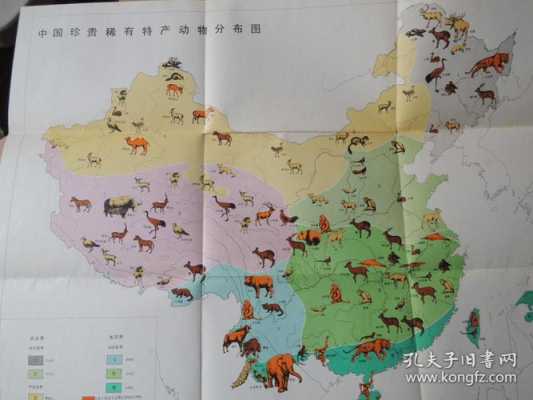 中国土壤动物图鉴（中国土壤类型图）