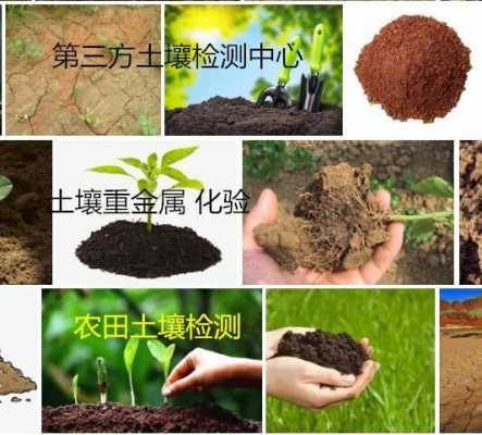 土壤活性锰（土壤活性物质）