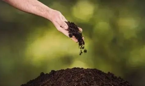 土壤微生物改良（土壤微生物改良土壤的方法）-图3