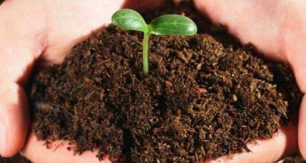 土壤微生物改良（土壤微生物改良土壤的方法）