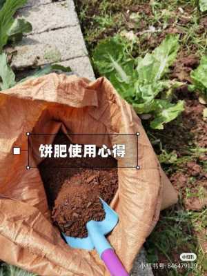 菜籽饼如何做土壤肥料（菜籽饼施肥使用方法）