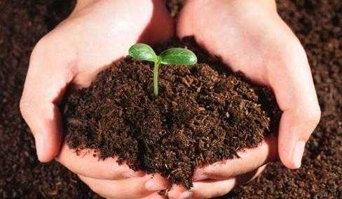 土壤改良肥如何使用（土壤改良肥料）