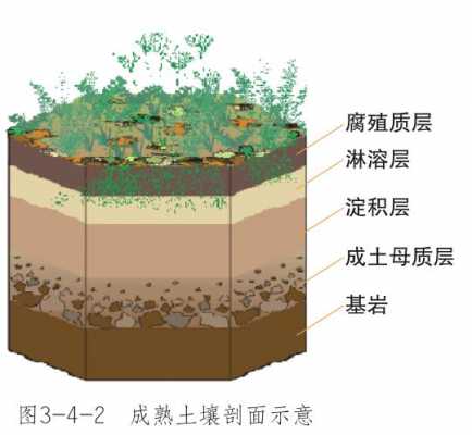 土壤表层变（土壤表层质地）