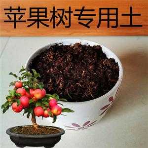 盆栽果树的土壤配制（盆栽果树土壤自配要求）
