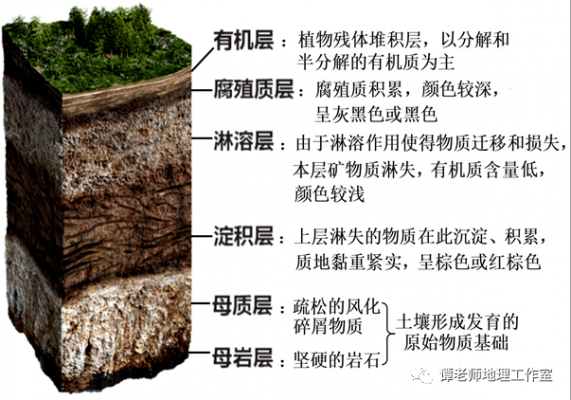土壤剖面表层（土壤剖面表层土下层土基岩碎屑基岩）-图3